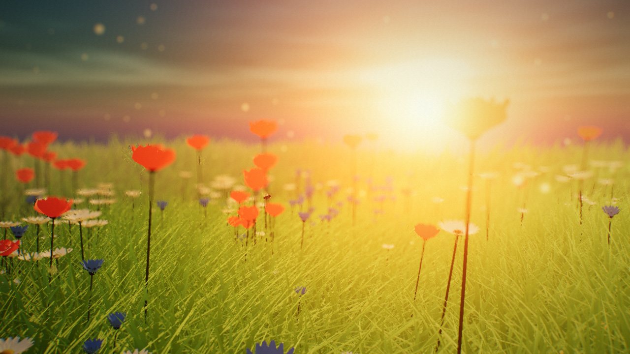 A summer meadow shot straight into a sun sitting on the horizon: grass and poppy stems glow from behind, the far field washes out into haze, pollen drifts through the light, and the sky runs from warm gold at the horizon to cool blue overhead.