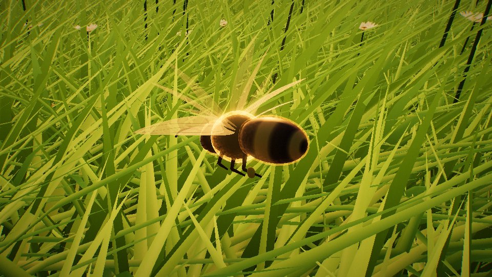 Close on the bee among grass blades: its thorax fuzz is lit from behind into a bright halo, the striped abdomen is in shadow, and the wings read as one pale translucent fan rather than as separate blades.