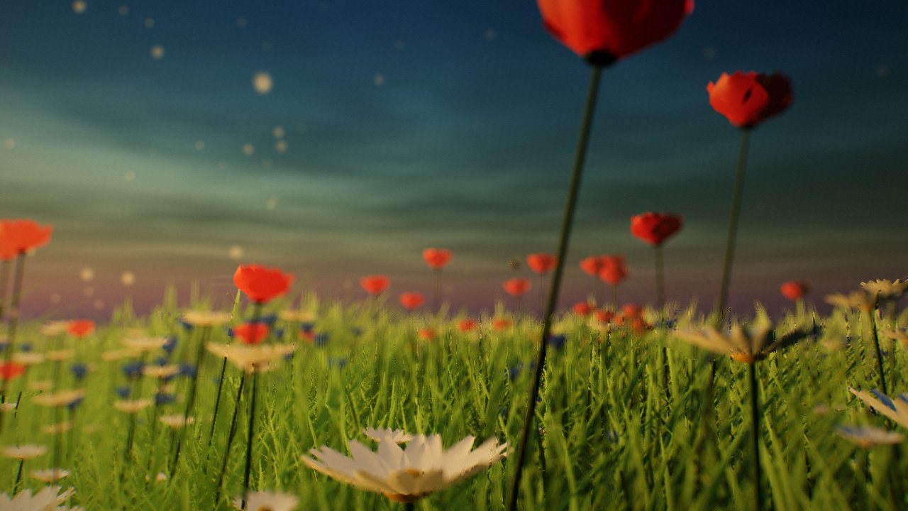A low camera among the grass tips: red poppies on tall thin stems stand against a dusk sky, with white daisies and small blue cornflowers lower down in the grass, and specks of pollen catching the light.